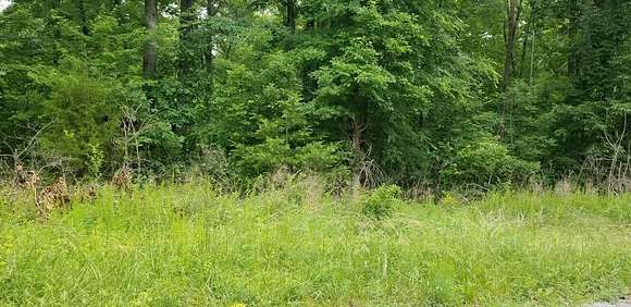 0.37 Acres of Land for Sale in Spring City, Tennessee