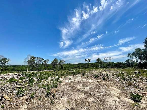 6.6 Acres of Land for Sale in Dalzell, South Carolina