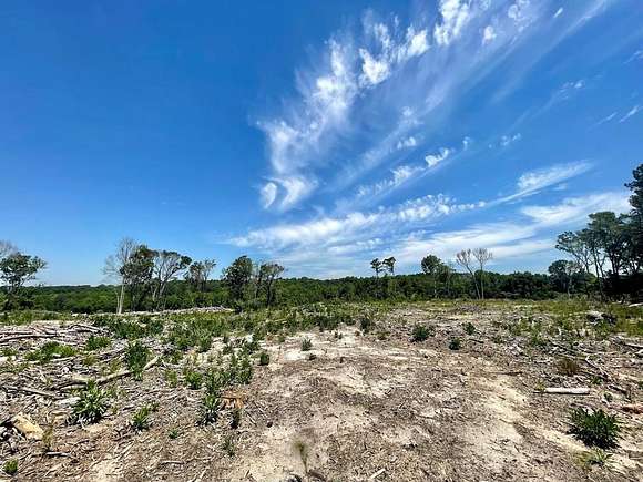 6.62 Acres of Agricultural Land for Sale in Dalzell, South Carolina