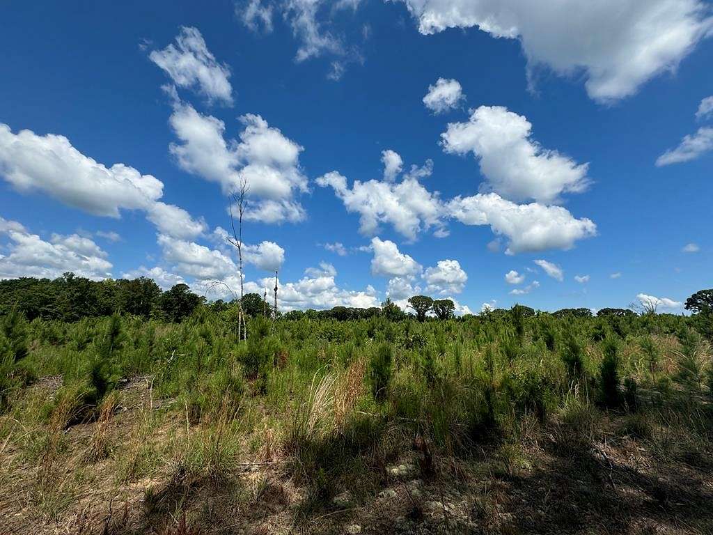 7.4 Acres of Land for Sale in Dalzell, South Carolina