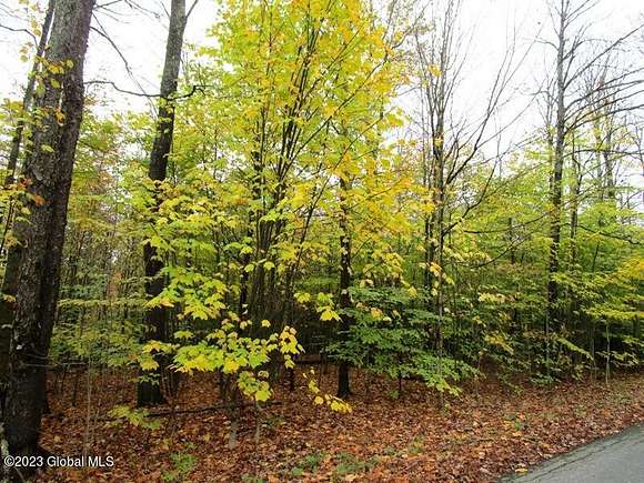 14 Acres of Recreational Land for Sale in Jefferson, New York