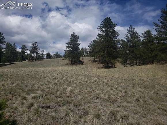 2 Acres of Residential Land for Sale in Florissant, Colorado