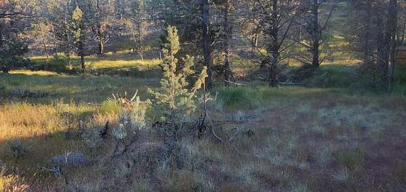 0.64 Acres of Residential Land for Sale in Prineville, Oregon