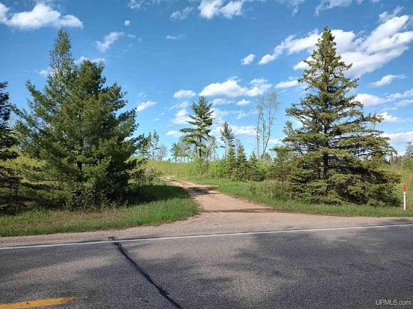 74.7 Acres of Recreational Land for Sale in Perronville, Michigan