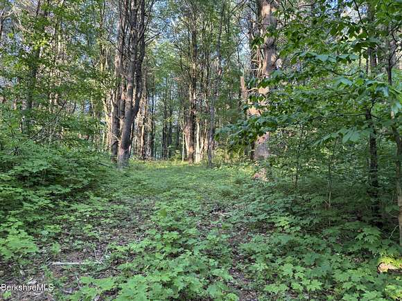 20.7 Acres of Land for Sale in Becket, Massachusetts