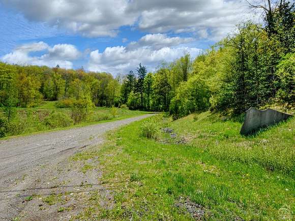 83.7 Acres of Recreational Land for Sale in Andes, New York