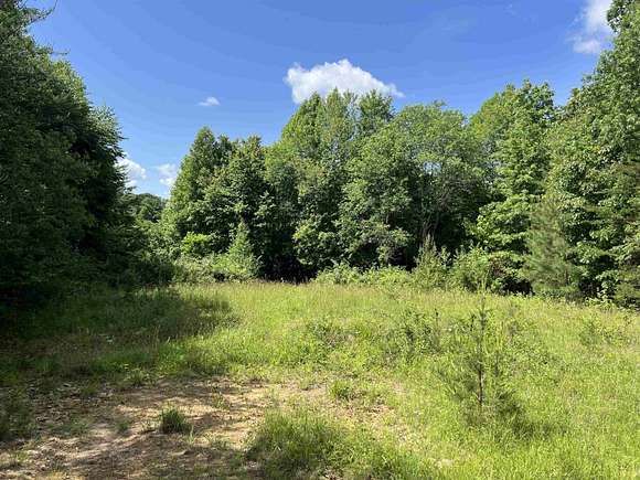 66.1 Acres of Land for Sale in Willis, Virginia