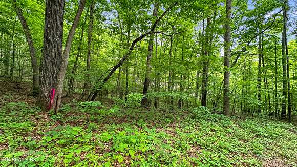 5.1 Acres of Residential Land for Sale in Maynardville, Tennessee