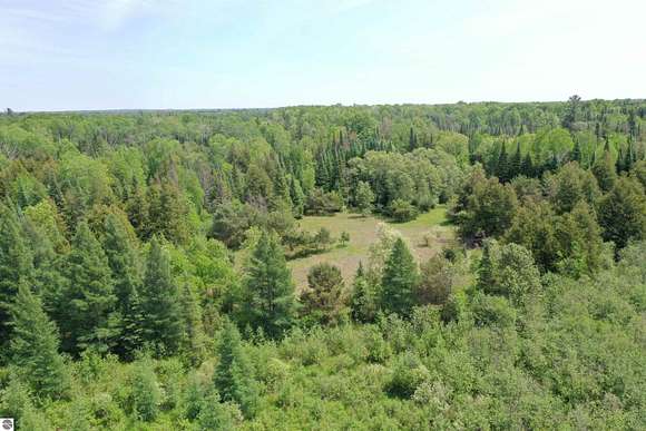 28.4 Acres of Recreational Land for Sale in West Branch, Michigan
