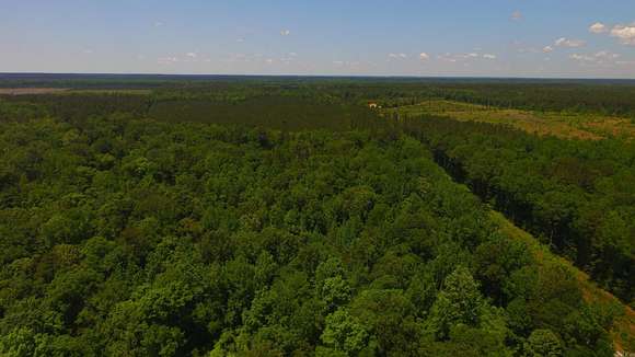 17 Acres of Land for Sale in Carthage, Arkansas