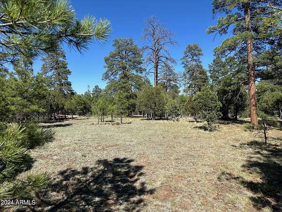 10 Acres of Land for Sale in Happy Jack, Arizona