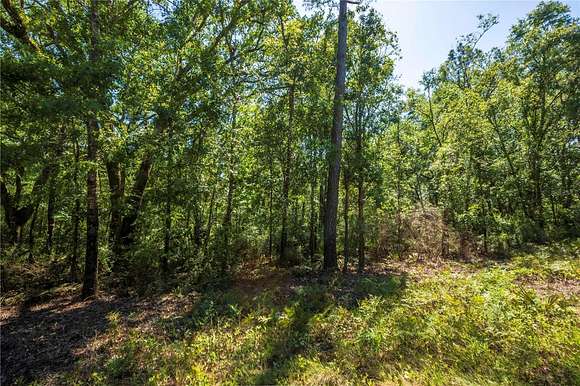 2.6 Acres of Residential Land for Sale in Pinetta, Florida