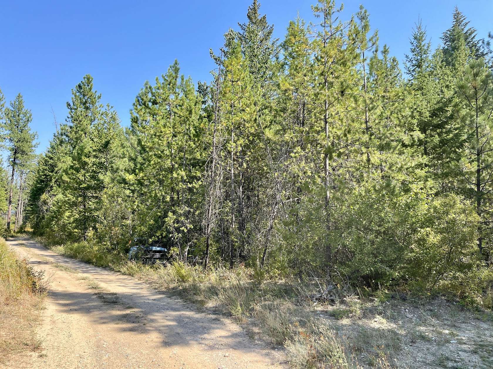 20.51 Acres of Recreational Land for Sale in Chewelah, Washington