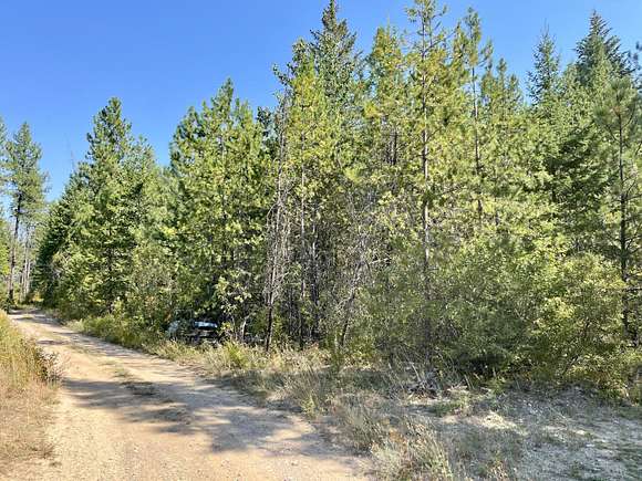 20.5 Acres of Recreational Land for Sale in Chewelah, Washington