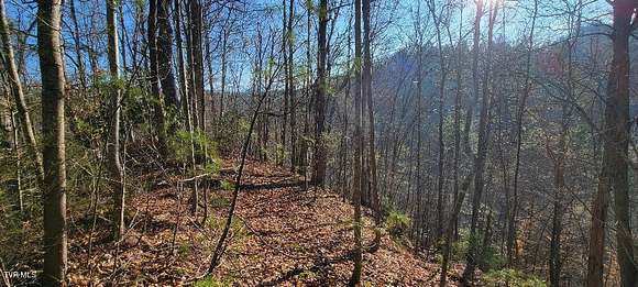 33.5 Acres of Recreational Land for Sale in Flag Pond, Tennessee
