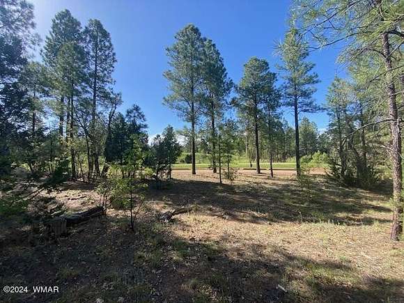 0.75 Acres of Residential Land for Sale in Show Low, Arizona