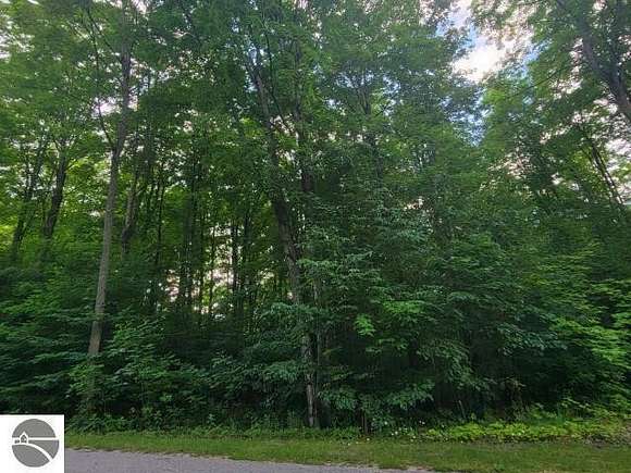 0.4 Acres of Residential Land for Sale in Bellaire, Michigan