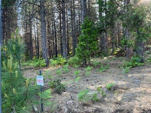 0.22 Acres of Residential Land for Sale in McCloud, California