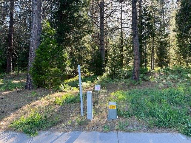 0.22 Acres of Residential Land for Sale in McCloud, California