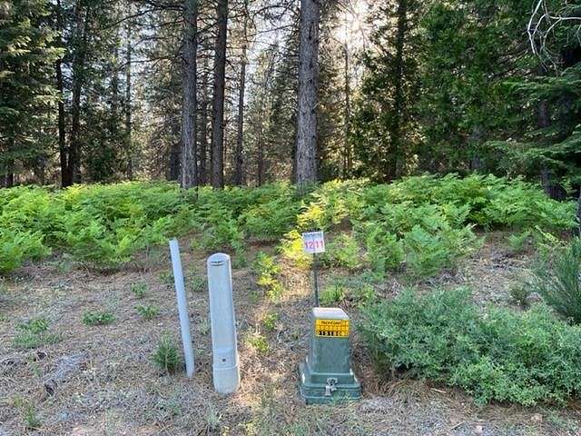 0.22 Acres of Residential Land for Sale in McCloud, California