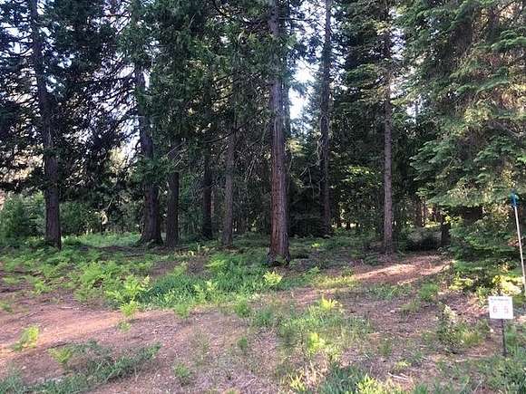0.4 Acres of Residential Land for Sale in McCloud, California