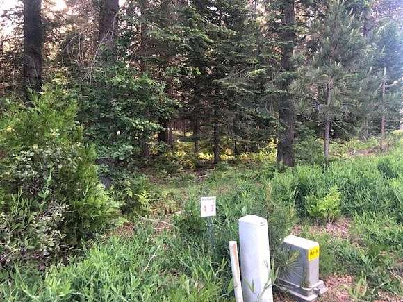 0.29 Acres of Residential Land for Sale in McCloud, California