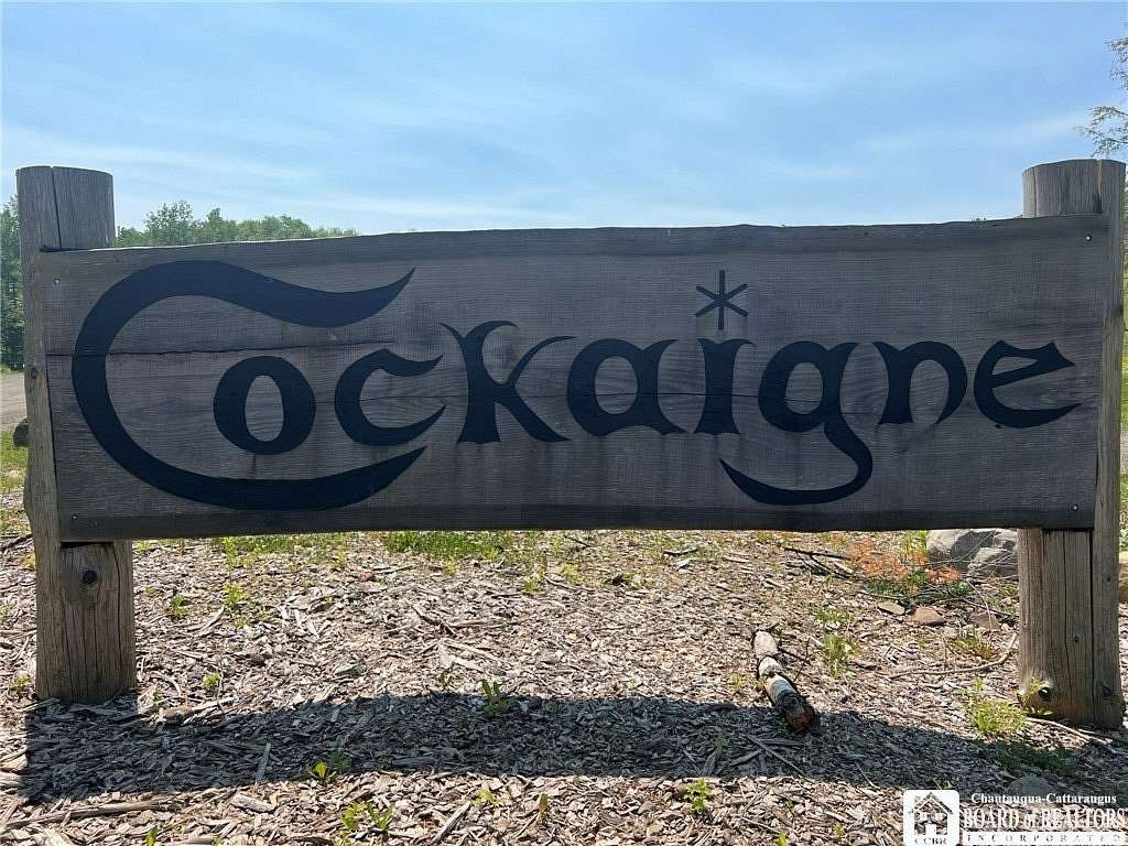 462 Acres of Improved Land for Sale in Cherry Creek, New York