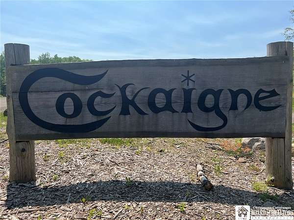 462 Acres of Improved Land for Sale in Cherry Creek, New York