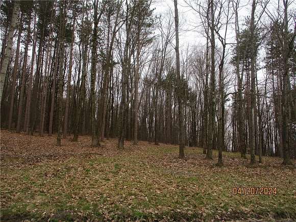 6.1 Acres of Residential Land for Sale in Windsor, New York