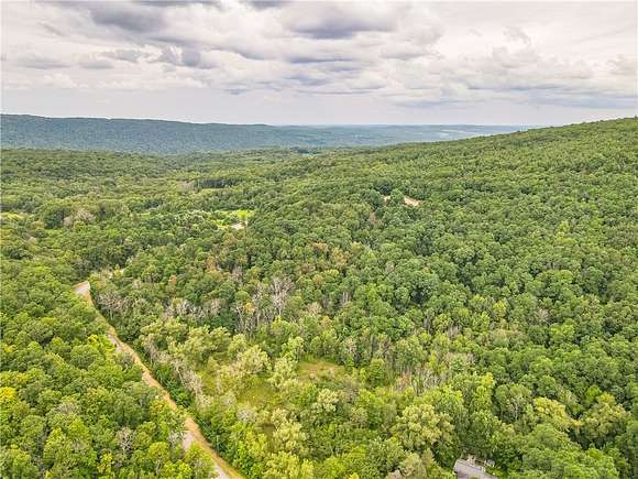 38.5 Acres of Land for Sale in Bristol, New York