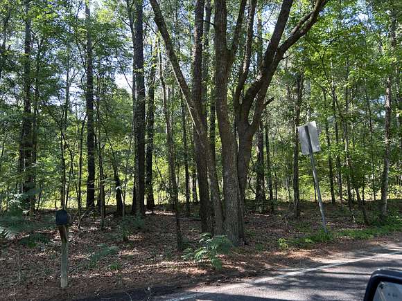 11.8 Acres of Land for Sale in Ravenel, South Carolina