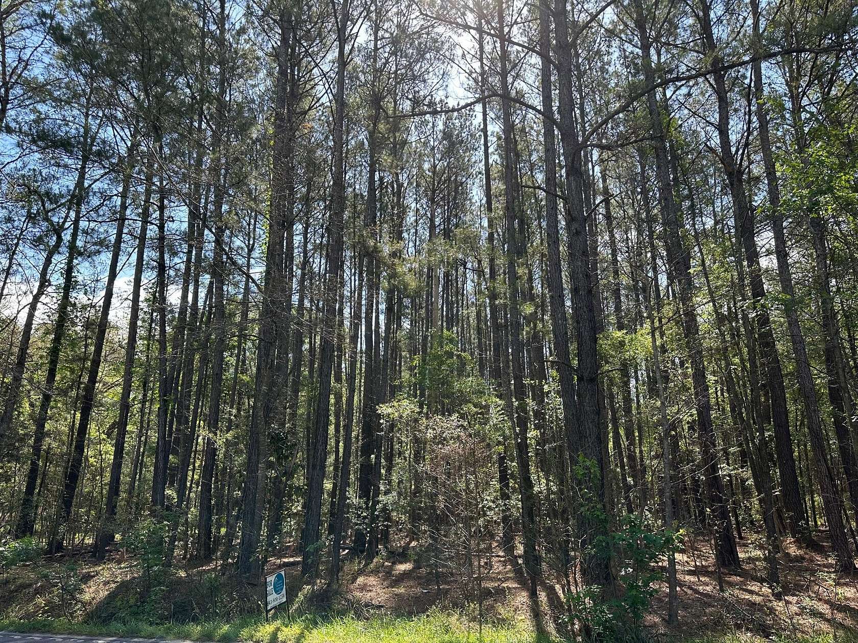 1 Acre of Residential Land for Sale in Summerville, South Carolina