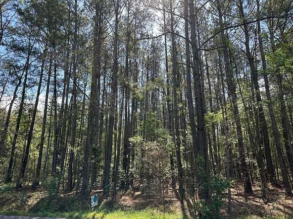 1 Acre of Residential Land for Sale in Summerville, South Carolina