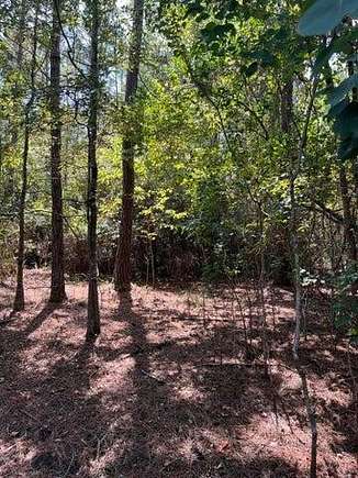 0.87 Acres of Residential Land for Sale in Bonifay, Florida