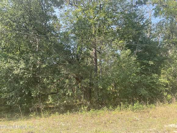 3 Acres of Residential Land for Sale in Interlachen, Florida