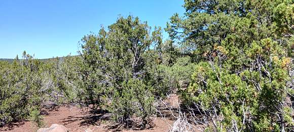 Residential Land for Sale in Concho, Arizona