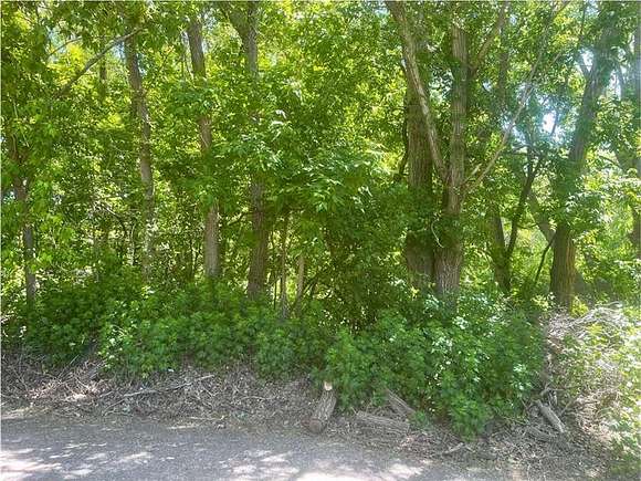 0.37 Acres of Residential Land for Sale in St. Paul, Minnesota