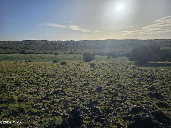 1.04 Acres of Land for Sale in Concho, Arizona