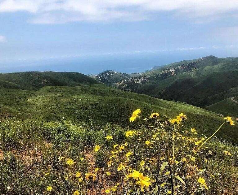 16 Acres of Agricultural Land for Sale in Malibu, California