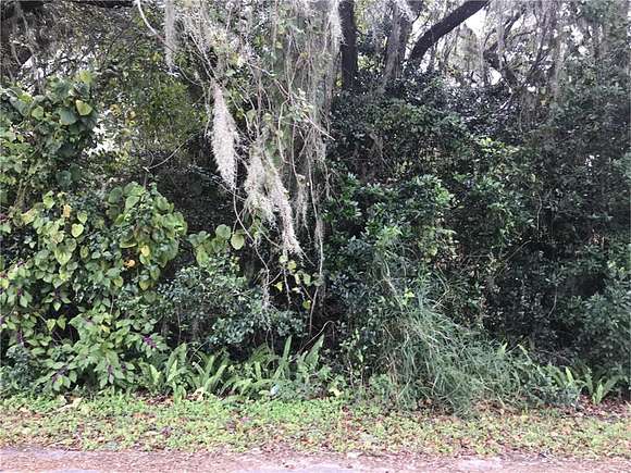 0.3 Acres of Residential Land for Sale in Bushnell, Florida