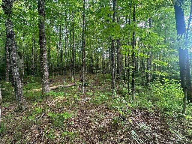 11 Acres of Land for Sale in New Sharon, Maine
