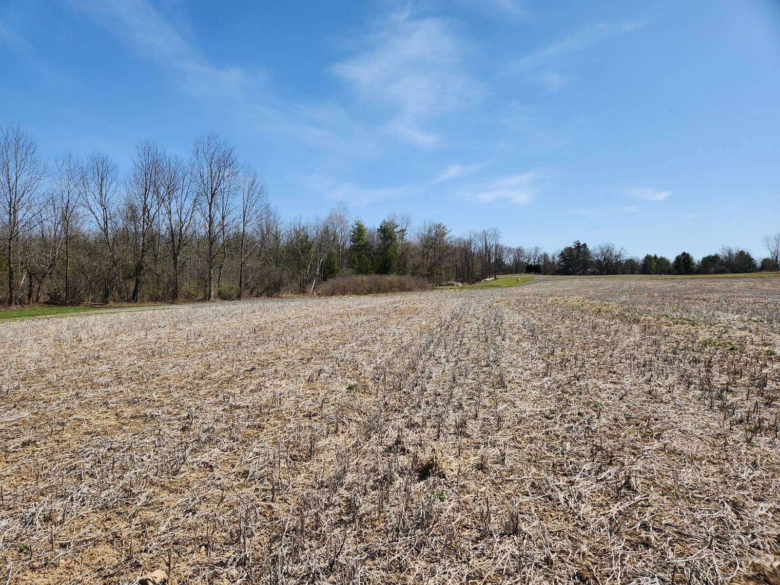 86.17 Acres of Agricultural Land for Sale in Rome, New York