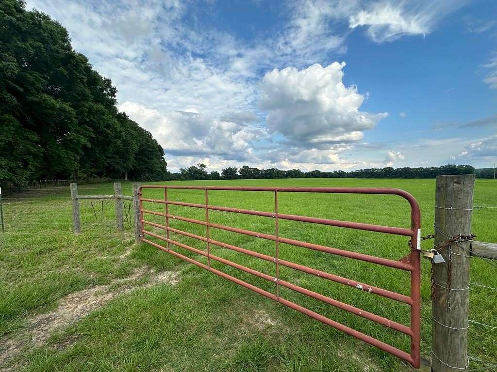 146 Acres of Land for Sale in Brundidge, Alabama