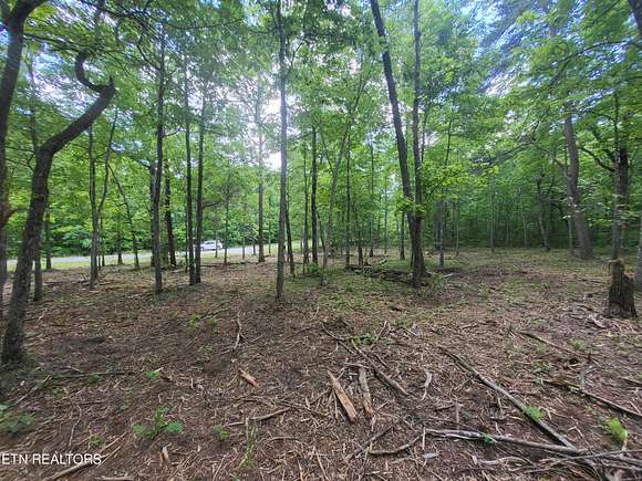 1 Acre of Residential Land for Sale in Monterey, Tennessee