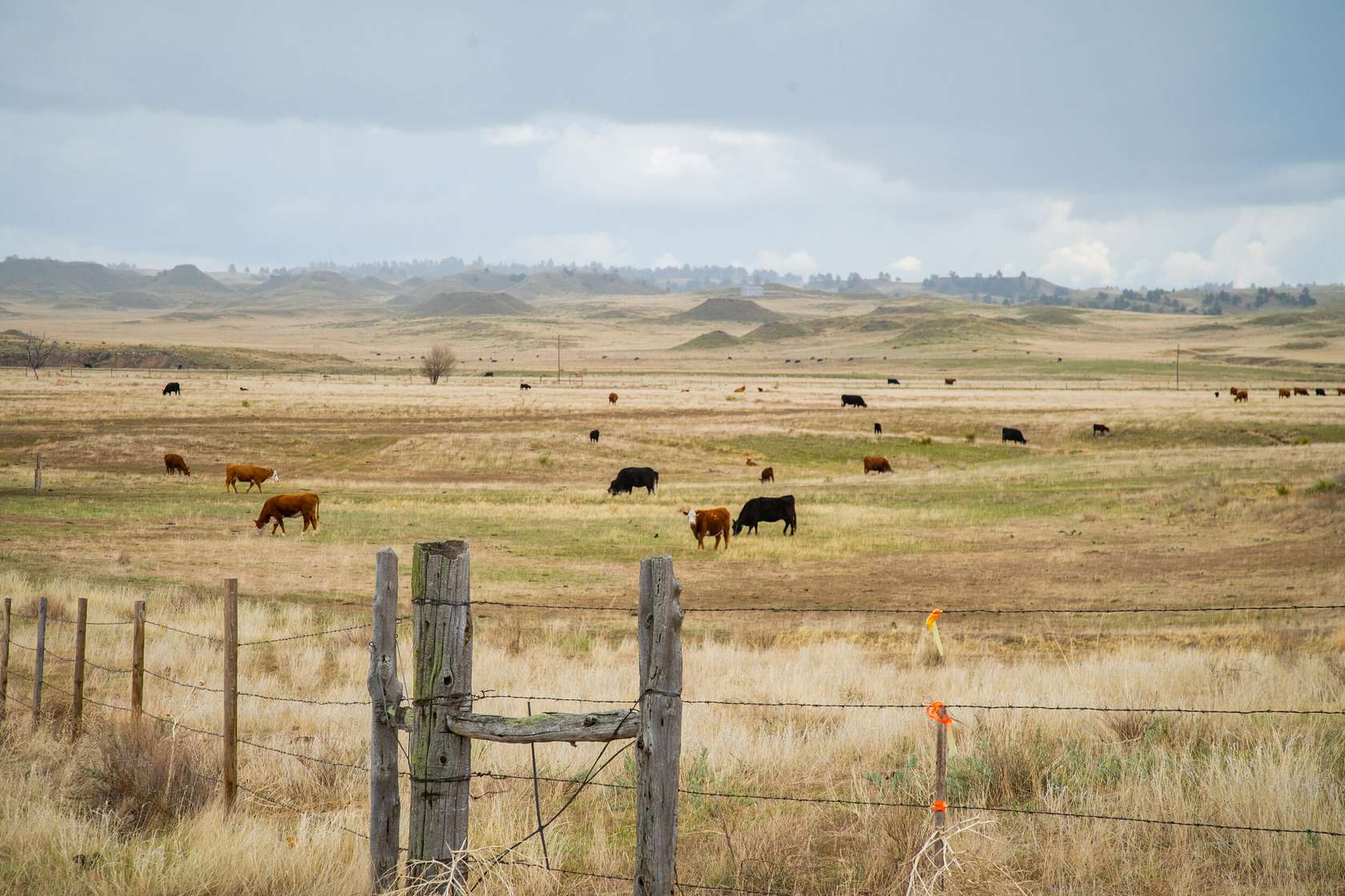 253 Acres of Recreational Land for Sale in Fort Laramie, Wyoming
