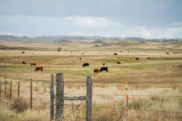 253 Acres of Recreational Land for Sale in Fort Laramie, Wyoming