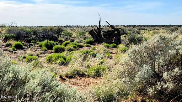 39 Acres of Land for Sale in Snowflake, Arizona