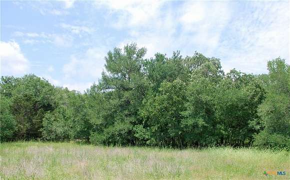 17 Acres of Land for Sale in Moulton, Texas