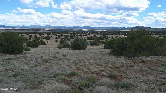 2.2 Acres of Residential Land for Sale in Concho, Arizona