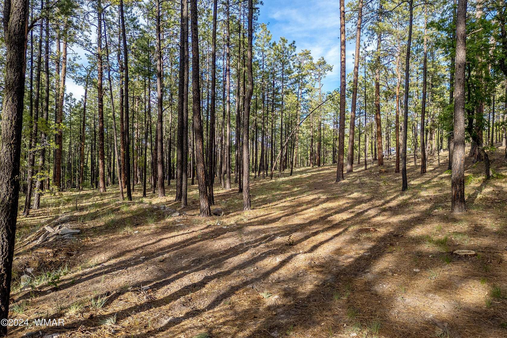 2.7 Acres of Residential Land for Sale in Alpine, Arizona